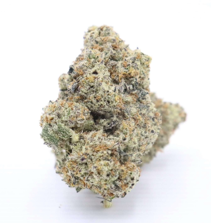 Pacific Frost White Truffle