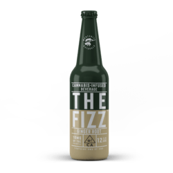 10mg Ginger Root Soda The Fizz