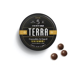 Kiva Terra Sea Salt Caramel Chocolate Bites 100mg 20pk