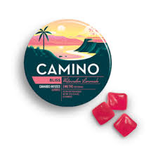 Camino Gummies 20pc 100mg - Watermelon Lemonade "Bliss"