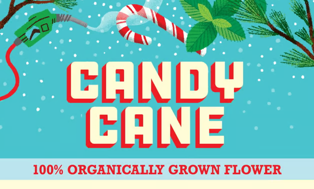 Paper Crane Candy Cane 0.5g 2pk Prerolls