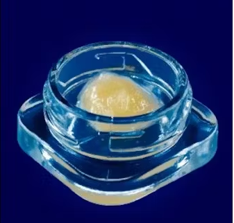 Cloud Cover Queso Perro 1g Terp Sugar