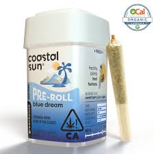Coastal Sun Greenhouse PREROLLS 10pk 3.5g - Blue Dream (S)