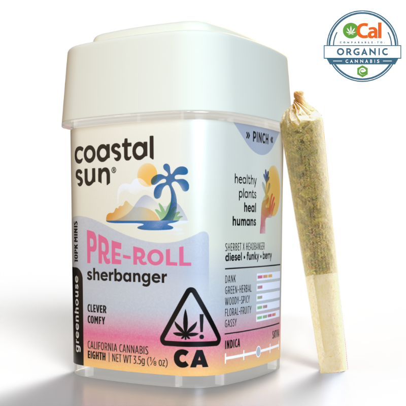 Coastal Sun Sherbanger (H) Preroll 10pk 3.5g