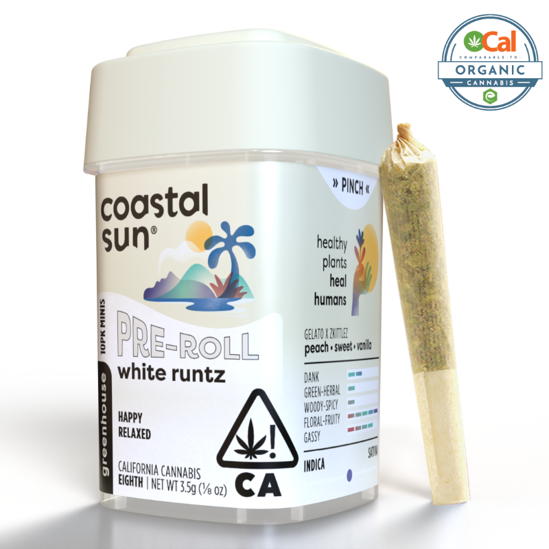 Coastal Sun White Runtz (H) Preroll 10pk 3.5g