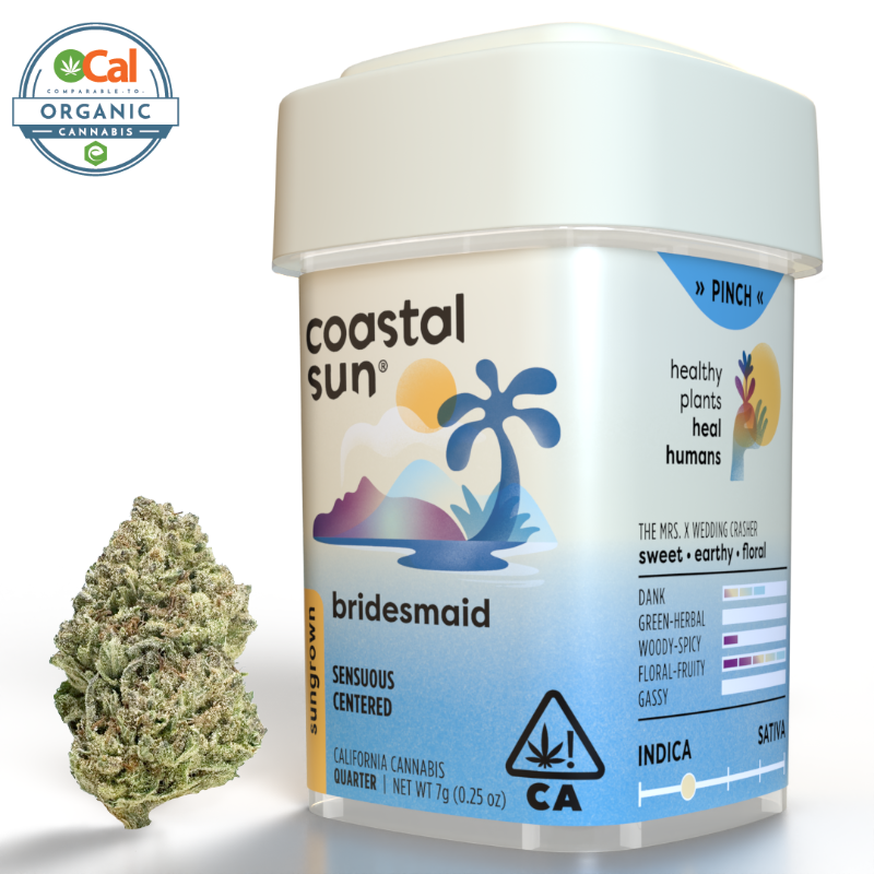 Coastal Sun Bridesmaid (I) Sungrown Flower 7g