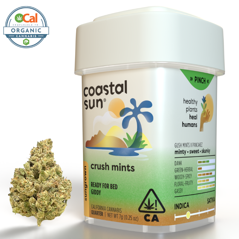 Coastal Sun Crush Mints (I) Sungrown Flower 7g