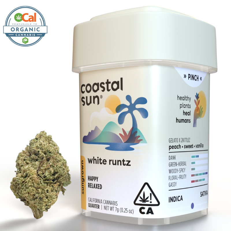 Coastal Sun White Runtz (H) Sungrown Flower 7g
