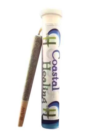Coastal Healing Billy 1g Preroll
