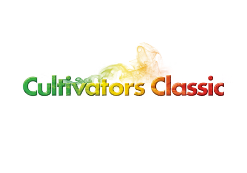 Blazin Punch Live Sugar Wax | 1g