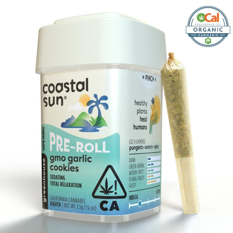 Coastal Sun GMO Garlic Cookies (I) Preroll 10pk 3.5g