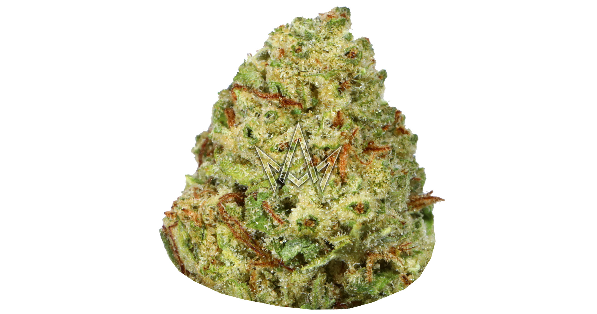 d15f7120-1529-4cbd-b6af-