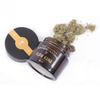 Flow Kana - Gold - Lemon Fuel