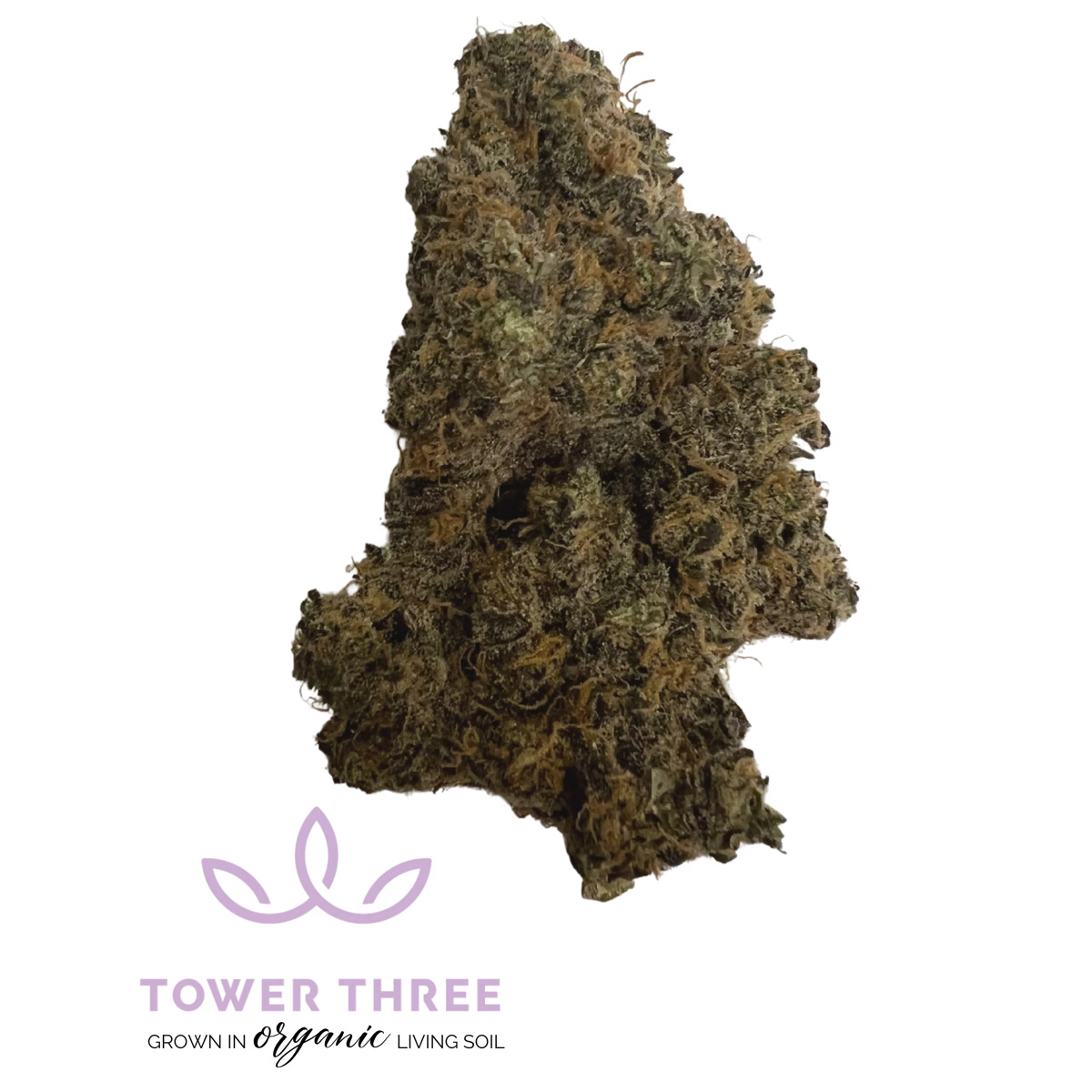 Platinum Garlic #2 | Tower Three | 3.5g