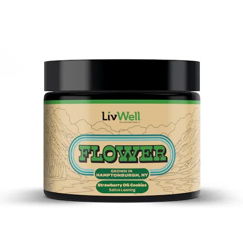 LIVWELL | Cookie Stash | 28G