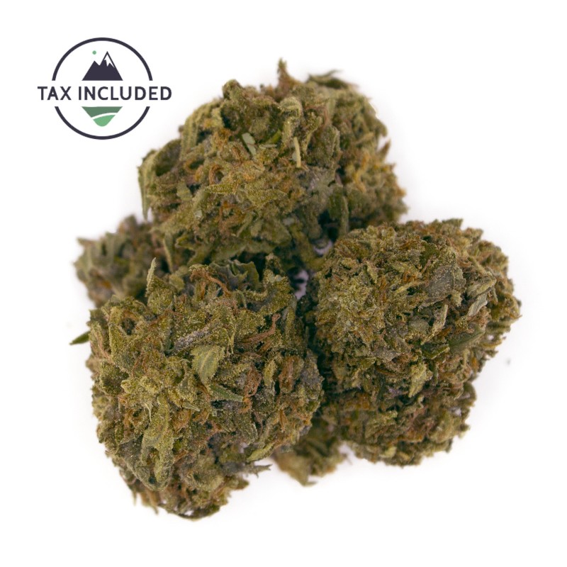 Product image for Key Lime