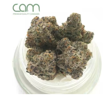 CAM] Flower - 3.5g - Triangle Mints "Private Reserve"