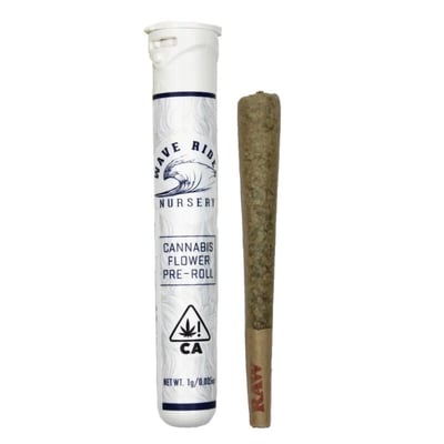 1g Banana Blaze Preroll - Wave Rider