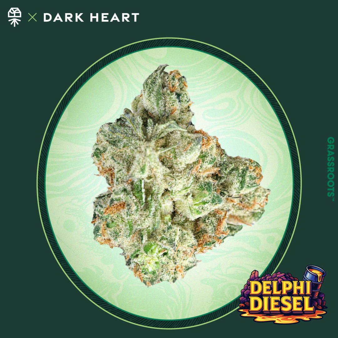 Grassroots | Delphi Diesel | Smalls | 14g
