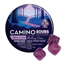 X| Camino | Sour Deep Sleep Blackberry Dream | 10ct