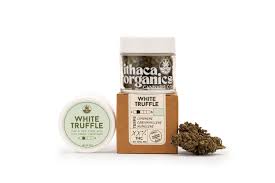 X| Ithaca | White Truffle | Flower | 3.5g