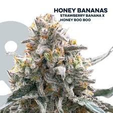 Root & Bloom Honey Banana 7g