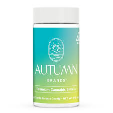 Autumn Brands Smalls 14g Mango Haze