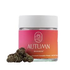Autumn Brands Smalls 7g Blueberry Pancakes