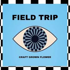 Field Trip 5pk Prerolls 2.5g Jungle Bird