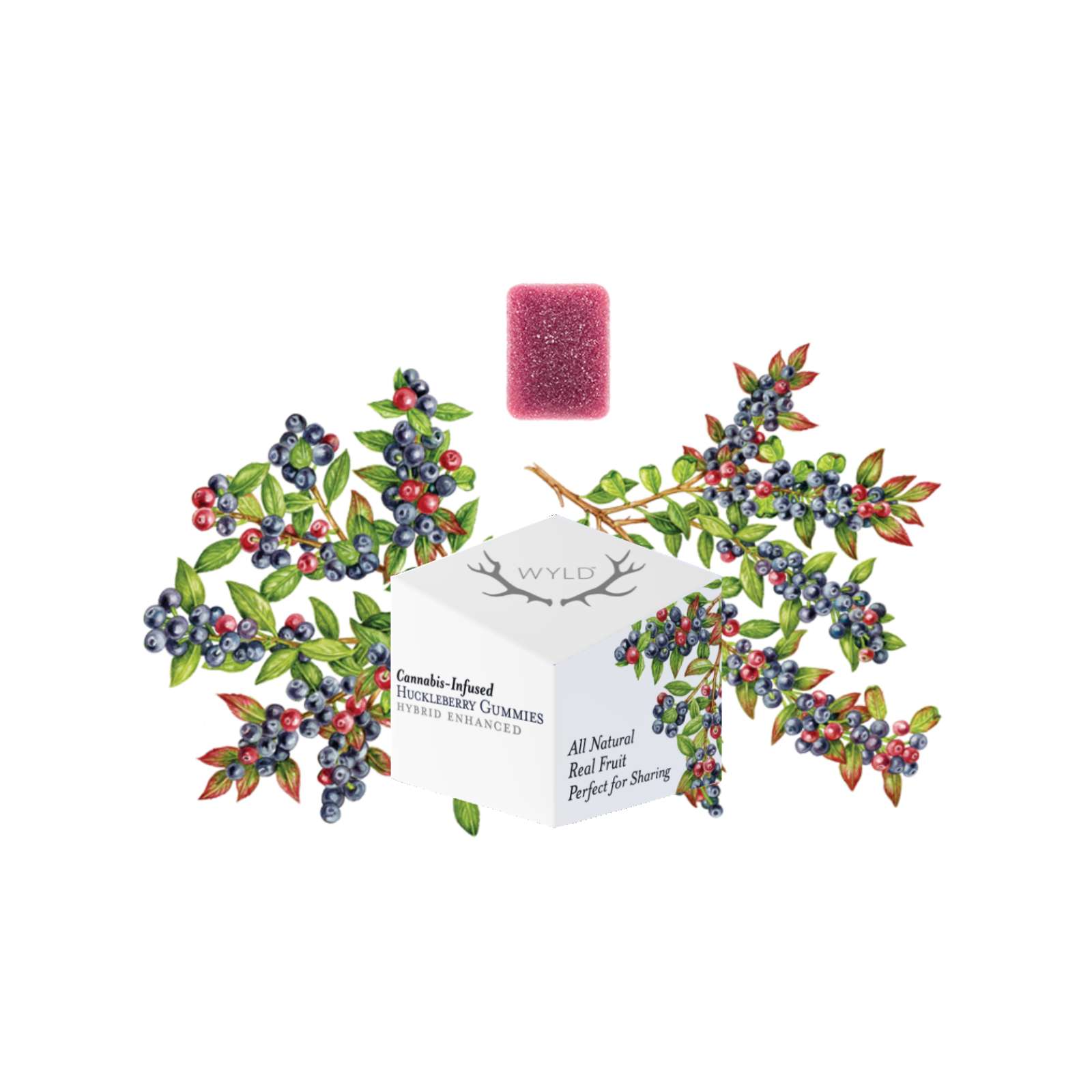 Huckleberry "Playful" Gummies | Wyld