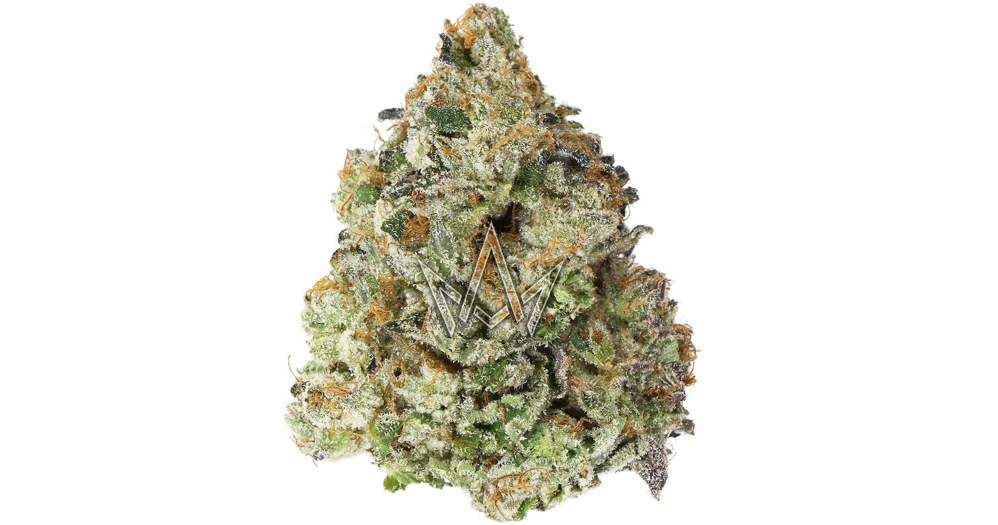 Fresh Baked Versace 10g San Diego, Vista & Imperial Cannabis