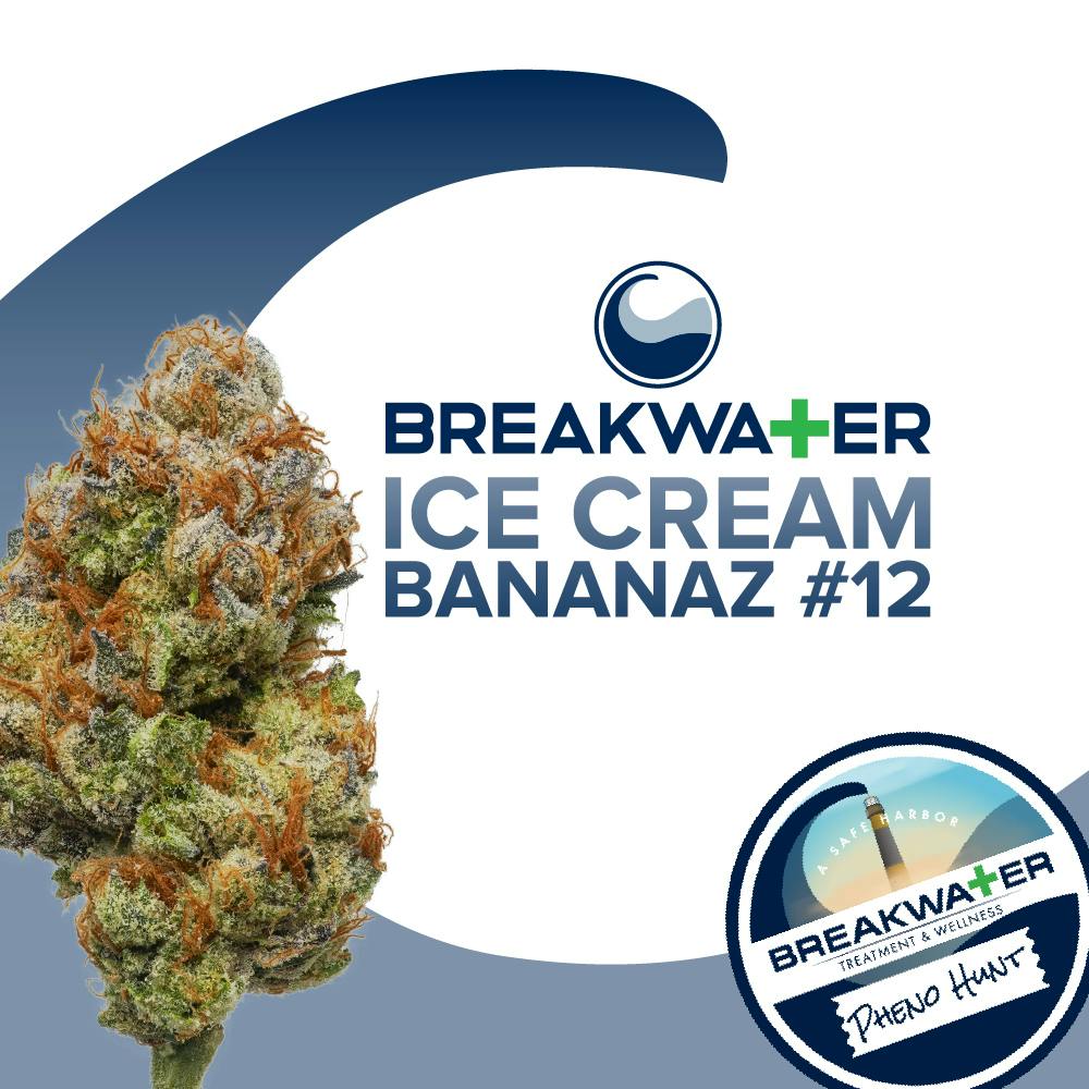 Breakwater | Flower | Ice Cream Bananaz #46 | 3.5g