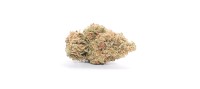 Flow Kana - Gold - Jack Herer