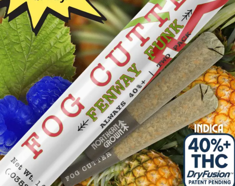Fenway Funk Infused Preroll -0.5g 2pk- | 1g