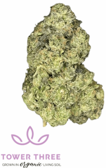 Florida Freeze | 3.5g