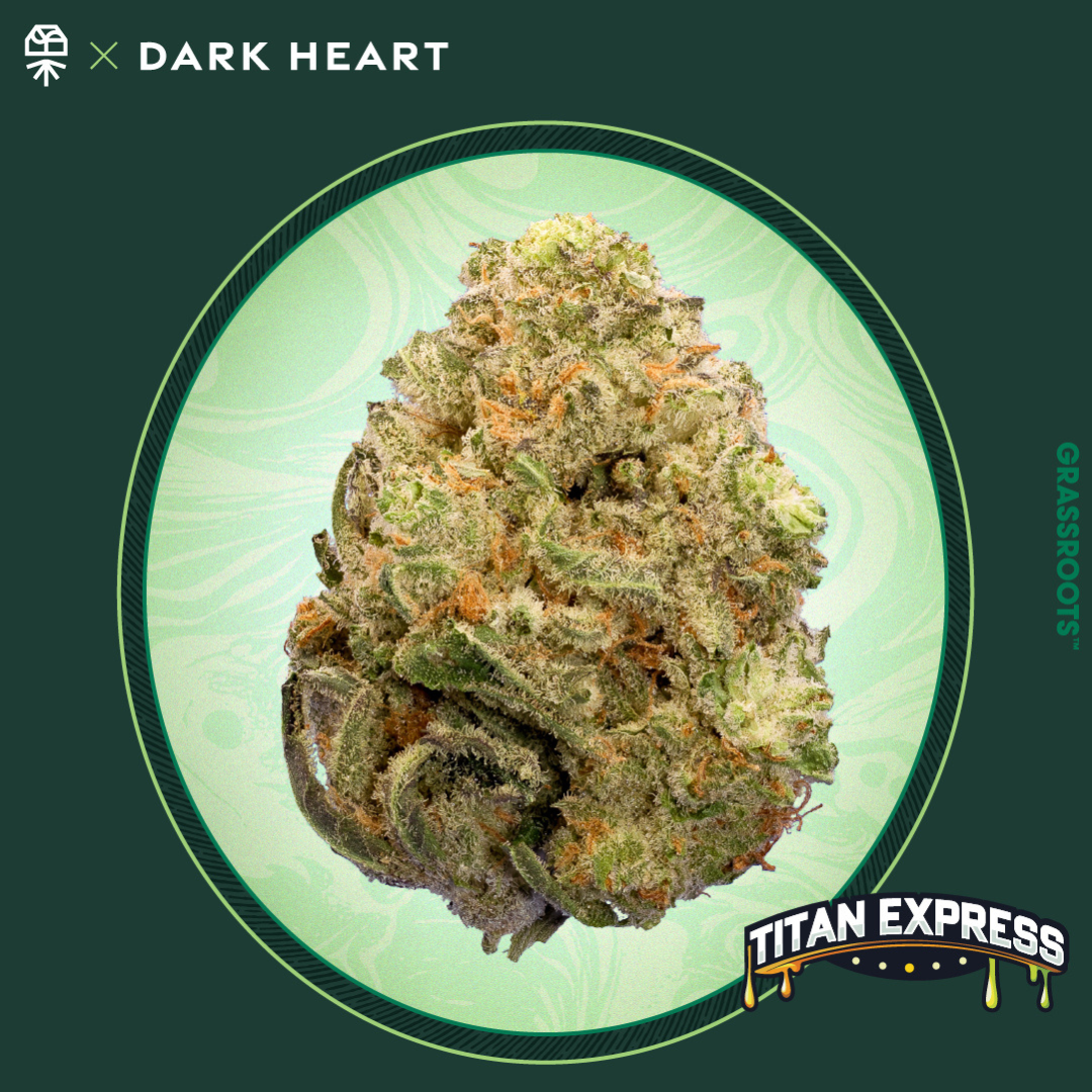 Grassroots | Titan Express | 14g