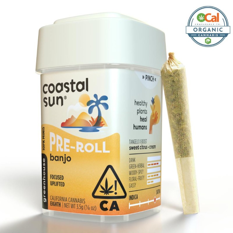 Coastal Sun Banjo (S) Preroll 10pk 3.5g