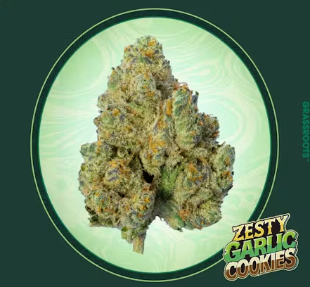 Grassroots Zesty Garlic Cookies 7g Popcorn