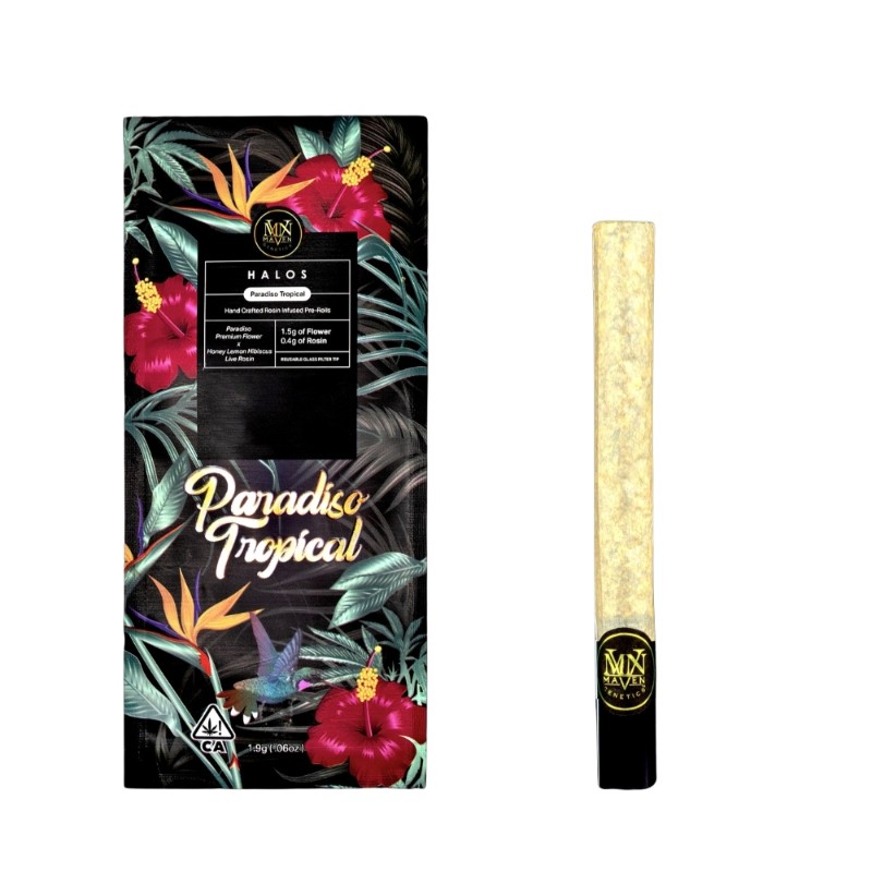 Maven Halo Paradiso Tropical (S/H) Rosin Infused Preroll 1.9g
