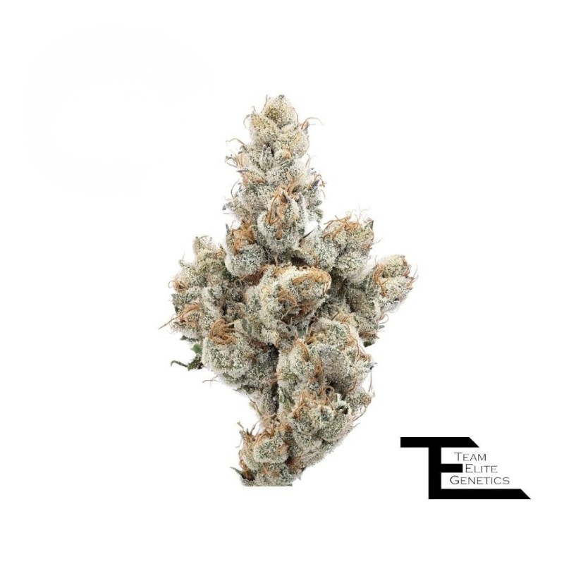 Team Elite Super Boof (H) Flower 3.5g