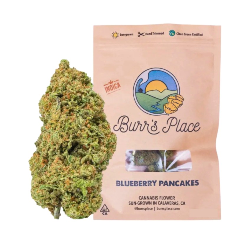 Burr's Place Blueberry Pancakes (I) Flower 3.5g
