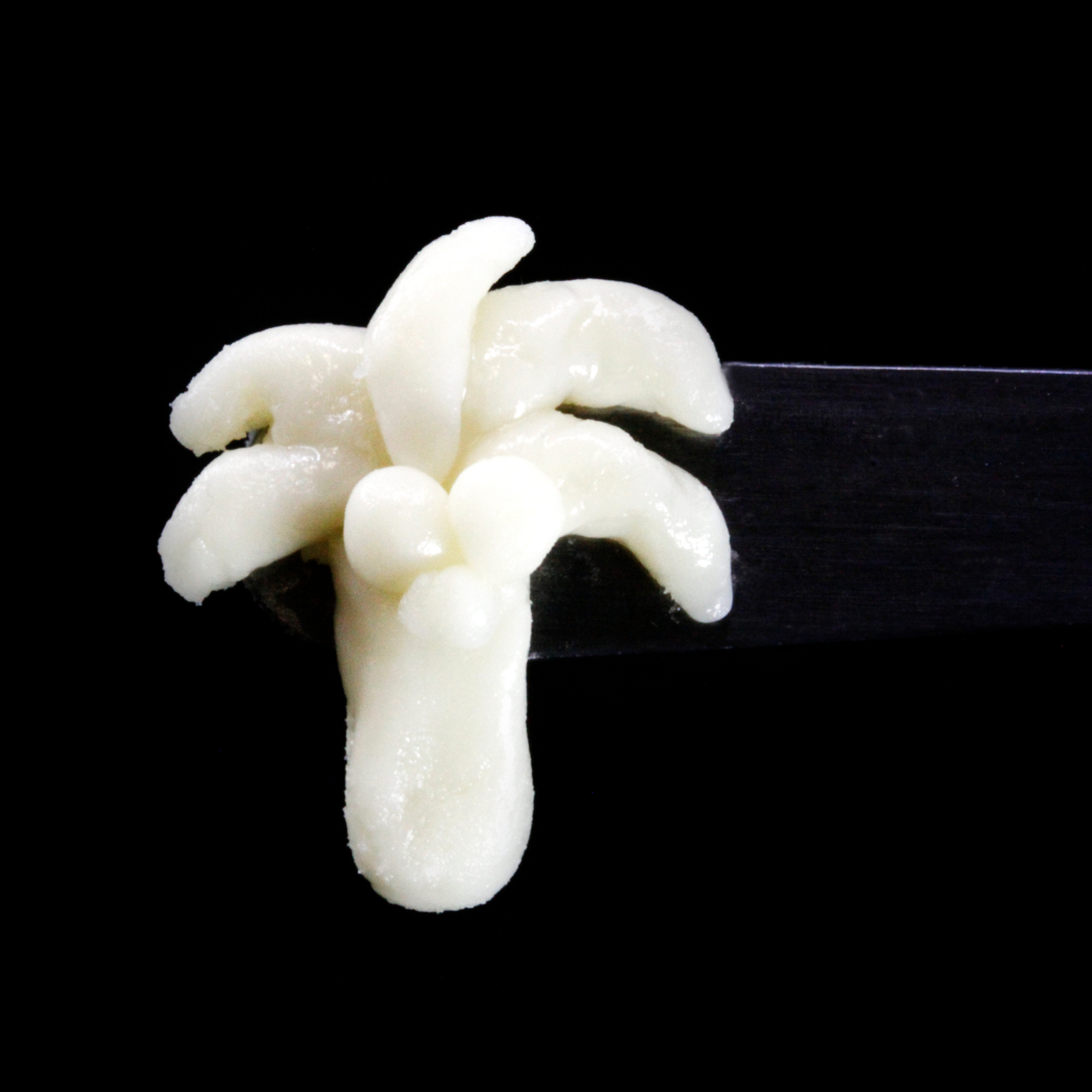 Shasta Flower & Hash - Live Rosin - GovMint Oasis - Concentrates - 1.0g