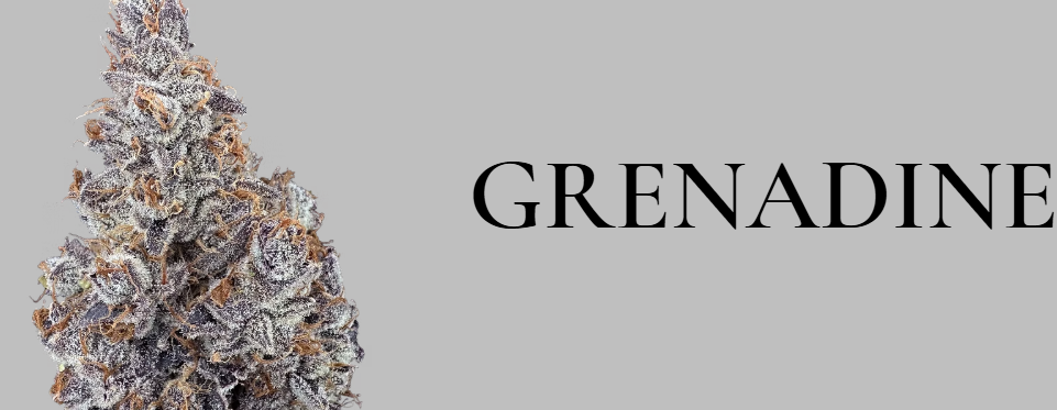 Ounce | Grenadine | 28g