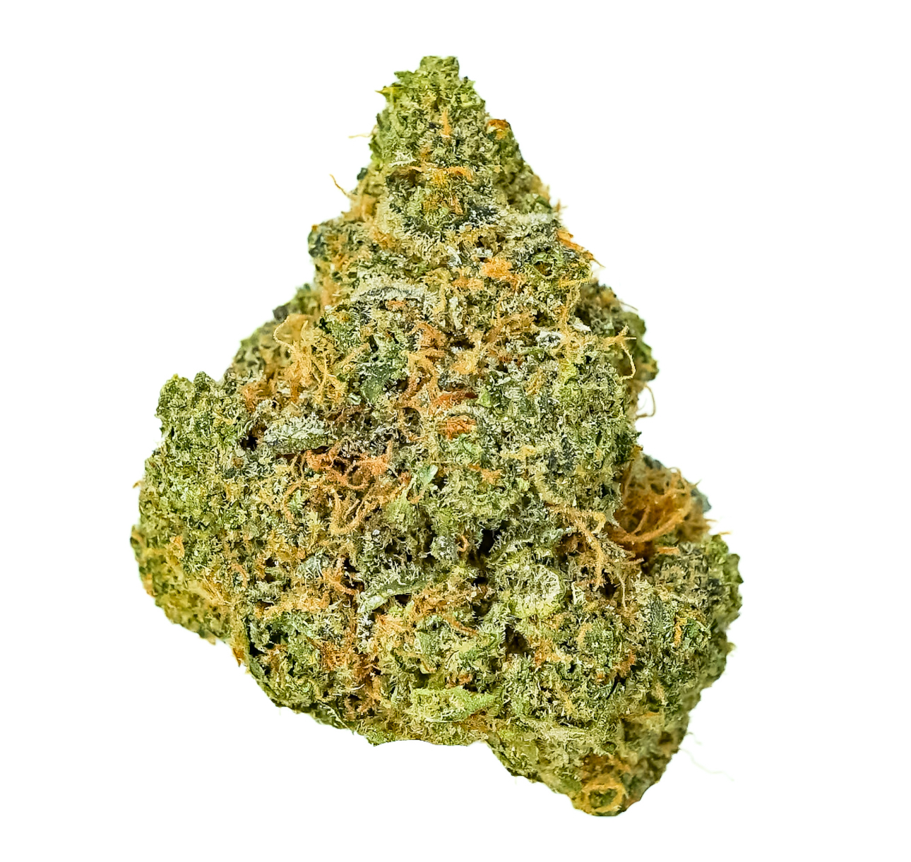 Hecate Gardens Low Tide