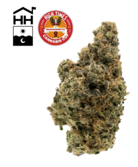 Harbor House Black Maple 3.5g