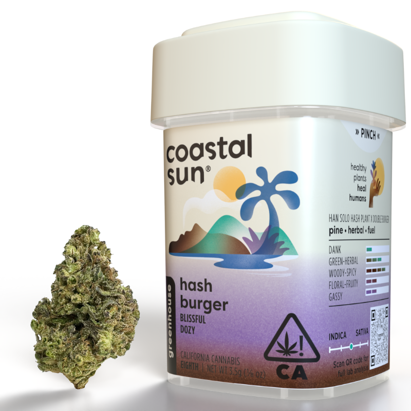 Coastal Sun Hash Burger (H) Greenhouse Flower 3.5g