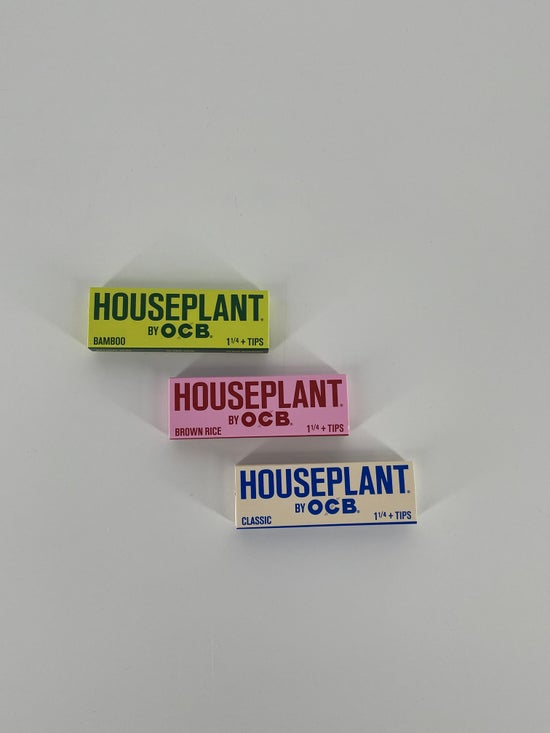 OCB | Houseplant 1.25" + tips | Bamboo
