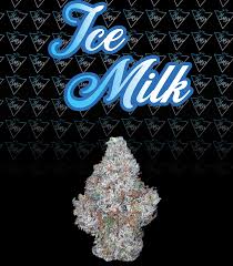 Ice Milk | 3.5g