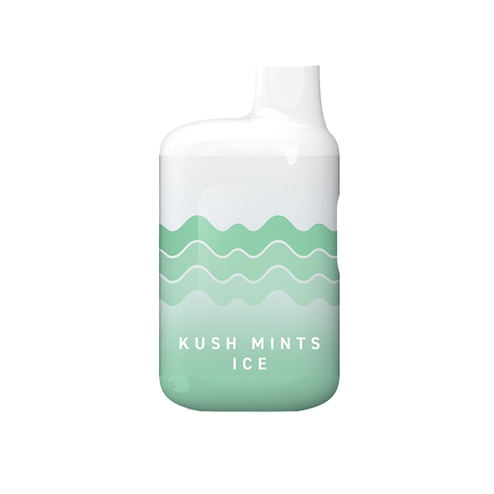 All-In-One 1g - Kush Mints Ice (H)