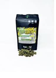 Brother - Flower: Garlic Banana - 28g - 1oz in Rio Dell